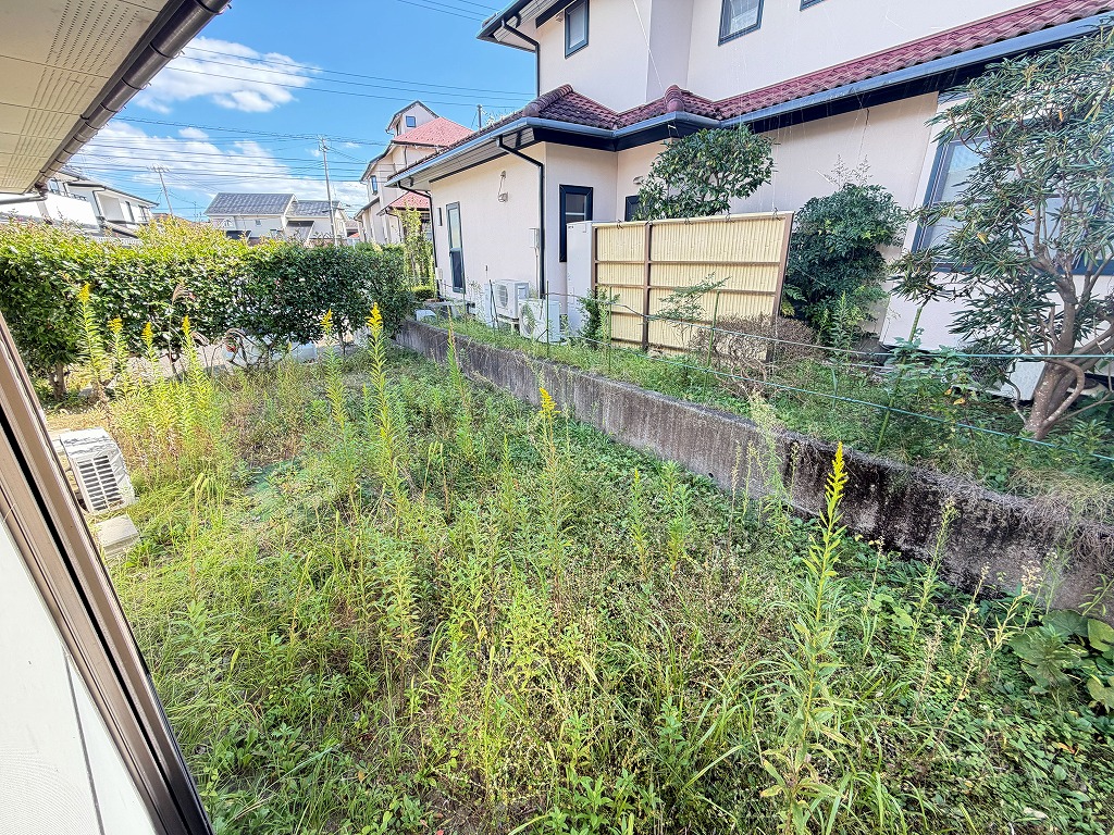 庭