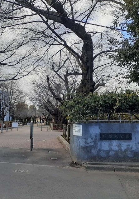 公園　羽根木公園（公園）まで500m