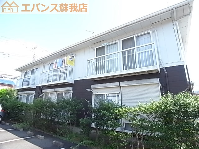ピア大杉