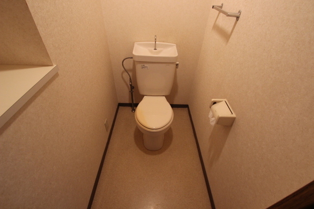 トイレ　写真は違う号室です。