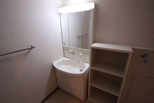 洗面設備　写真は違う号室です。