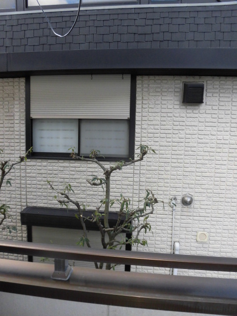 ウエストランドハイム21のその他写真