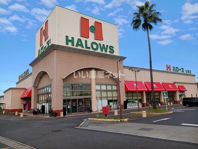 スーパー　ハローズ　水呑店（スーパー）まで781m