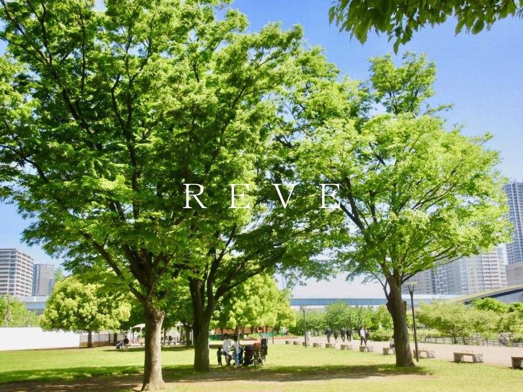 公園　豊洲公園（公園）まで1710m