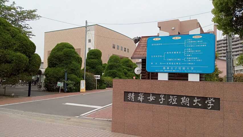 大学・短大　精華女子短期大学（大学・短大）まで647m