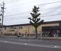 スーパー　万代 嵯峨広沢店（スーパー）まで220m