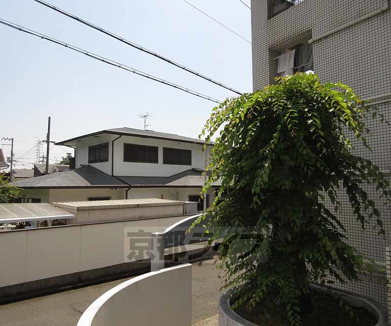 眺望　開放感のあるお外です！