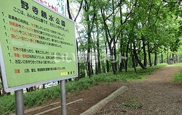 公園　野寺親水公園（公園）まで441m