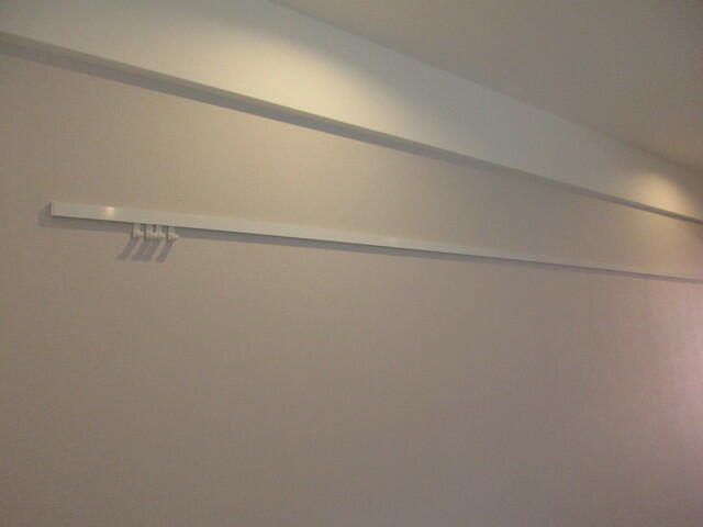 その他　2016年8月撮影ピクチャーレール