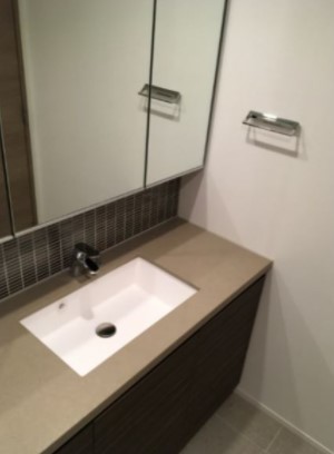 洗面設備　他部屋参考写真