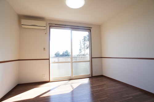 居室・リビング　南洋室。生活の中心となるお部屋はエアコン、LED照明付き