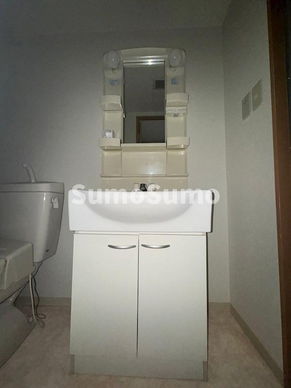 洗面設備　独立洗面台あり、毎朝おしゃれに忙しい女性の方におすすめです