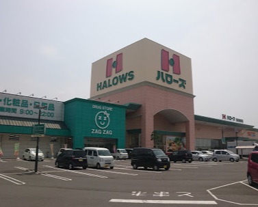 スーパー　ハローズ坂出林田店（スーパー）まで720m