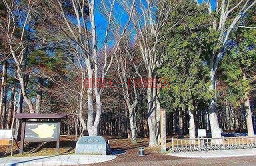 その他　香雪園（その他）まで700m