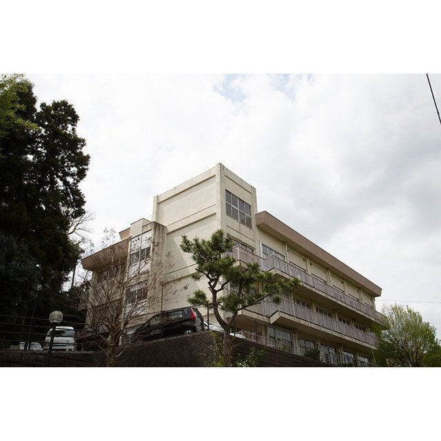 小学校　国府台小学校（小学校）まで400m