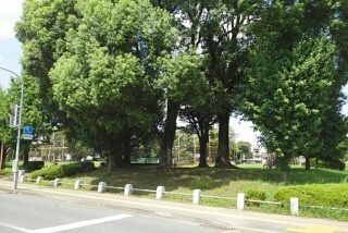 公園　秋津中央公園（公園）まで1220m