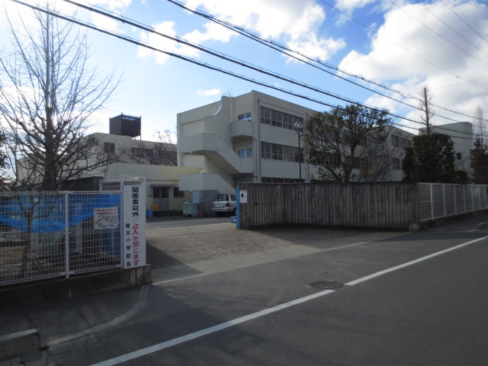 小学校　八幡市立橋本小学校（小学校）まで99m