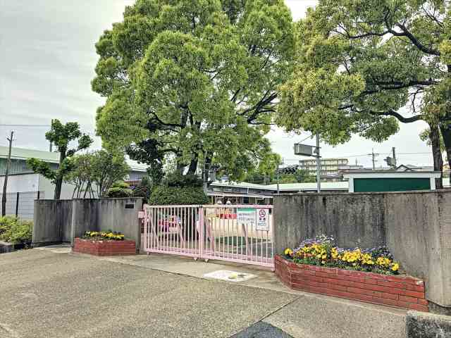 幼稚園・保育園　追分保育園（幼稚園・保育園）まで231m