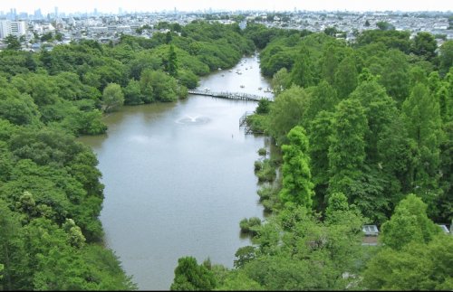 公園　都立井の頭公園（公園）まで829m