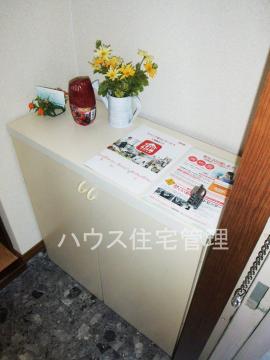 収納　下駄箱