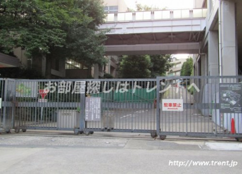 大学・短大　青山学院（大学・短大）まで560m