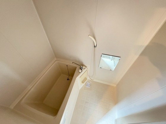 バス・シャワールーム　※別部屋の写真です