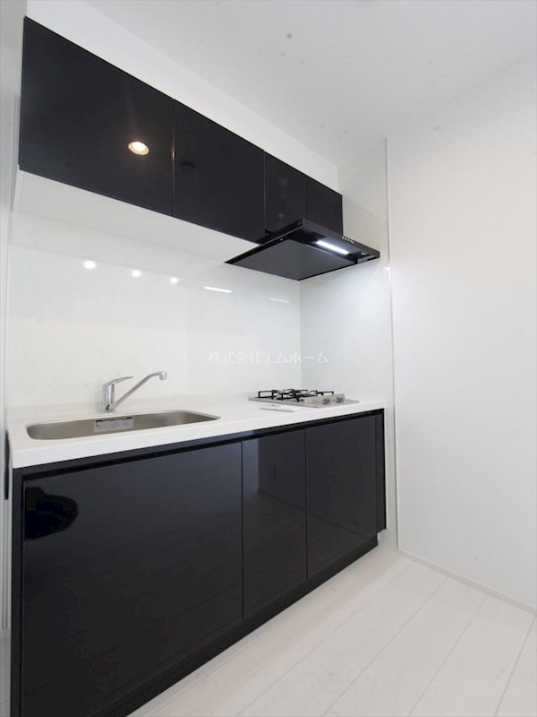 キッチン　システムキッチン（ガス2口）収納充実しています