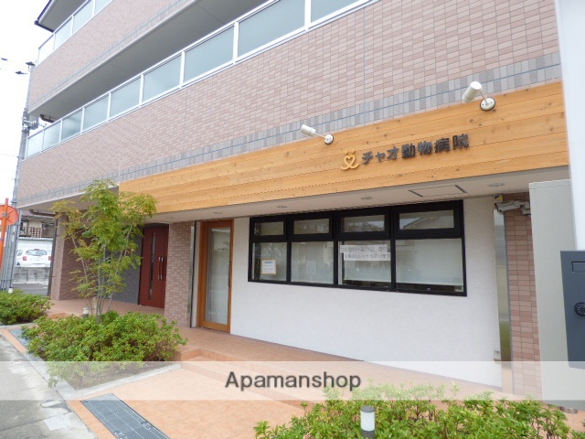 病院　チャオ動物病院（病院）まで177m