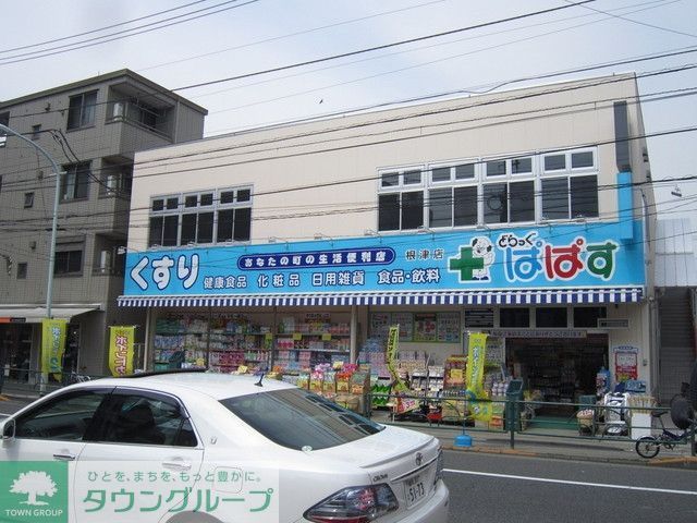 ドラックストア　どらっぐぱぱす（ドラッグストア）まで20m