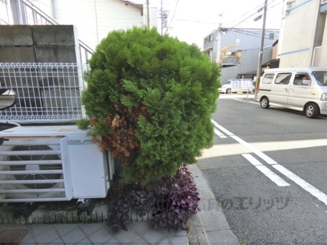 その他共有部分　植栽