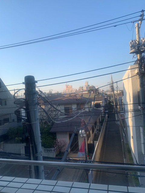 眺望