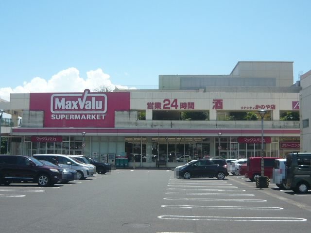 その他　マックスバリュリナシティ鹿屋店まで900m