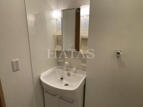 洗面設備　同物件別部屋です。