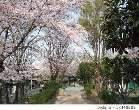 公園　玉川上水第二緑道（公園）まで1000m