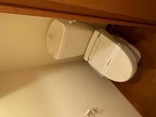 トイレ　備品や設備仕様は号室等により異なるため現地をご確認ください。