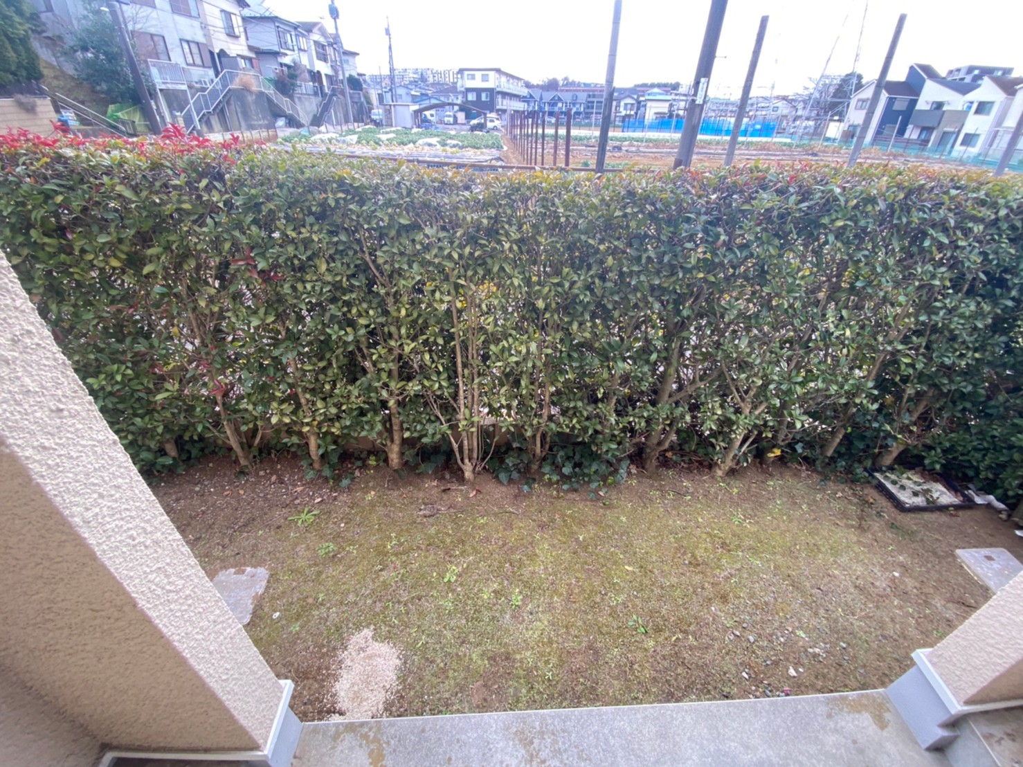 庭　募集部屋は反転タイプです