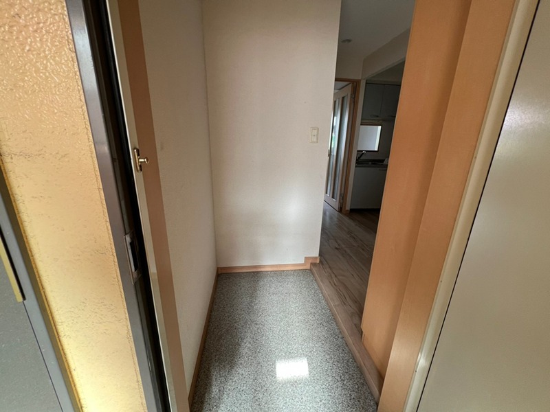玄関　他号室のタイプです