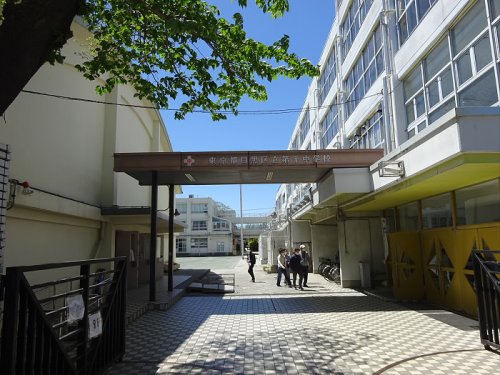 中学校　目黒区立第十中学校（中学校）まで1159m