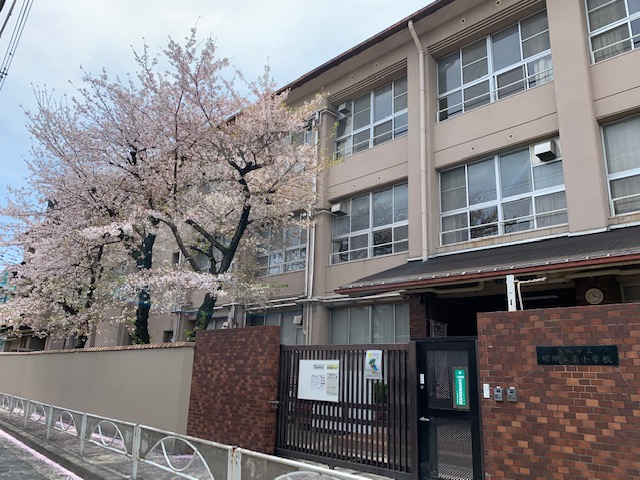 ライオンズマンション北畠の周辺写真