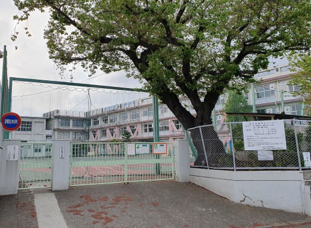 小学校　世田谷区立八幡小学校（小学校）まで307m