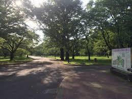 公園　都立小金井公園（公園）まで1377m