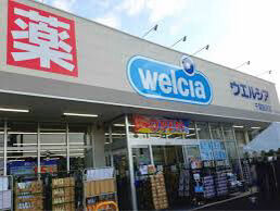 ドラックストア　ウエルシア千葉鶴沢店（ドラッグストア）まで502m