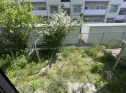 庭