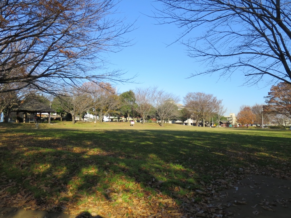 公園　山王町公園（公園）まで500m