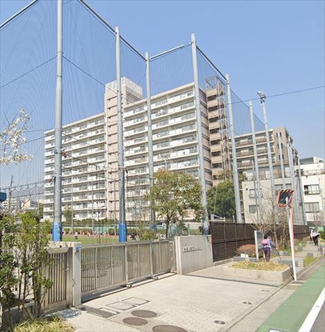 小学校　台場小学校（小学校）まで352m
