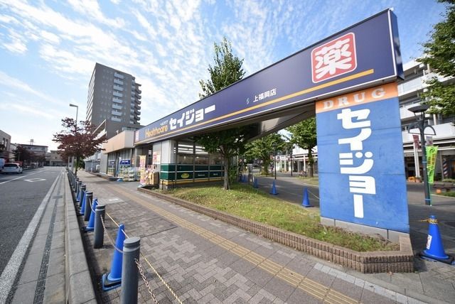 ドラックストア　くすりセイジョー上福岡店（ドラッグストア）まで879m