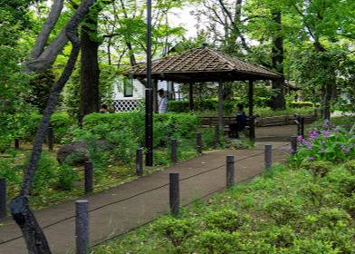 公園　蘇峰公園（公園）まで1763m
