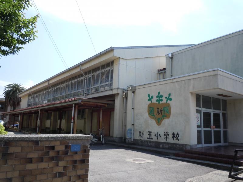 小学校　小田原市立新玉小学校（小学校）まで222m