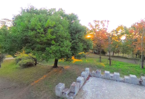 公園　片山公園（公園）まで1143m