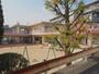 幼稚園・保育園　上安保育園（幼稚園・保育園）まで504m